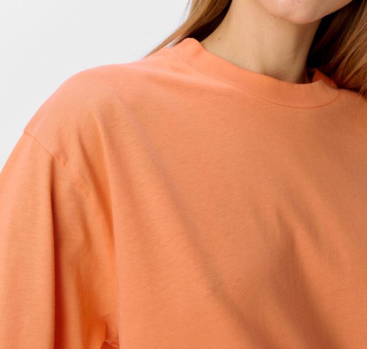 23043497_Melon_1106287_006